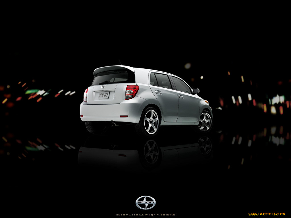 , scion